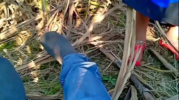 Indian Village Bhabhi Getting Fucked In The Open Field